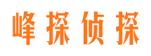 华龙市侦探公司